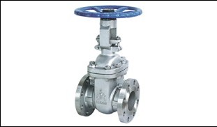 Jual Gate Valve SS304