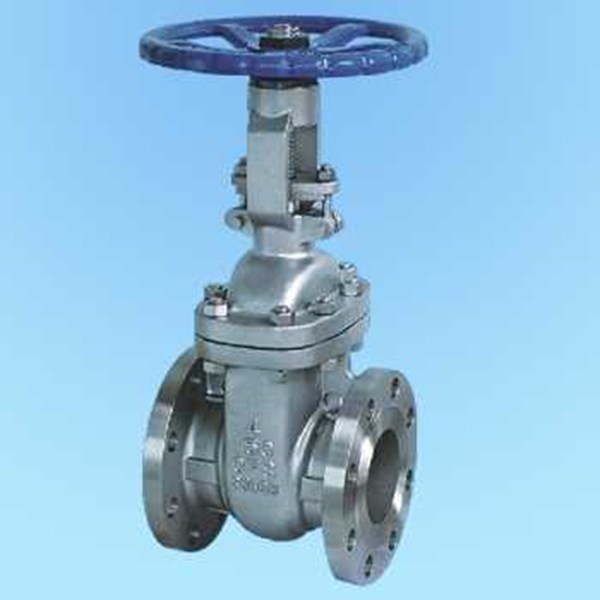 Gate Valve SS ASTM A531 CF8M